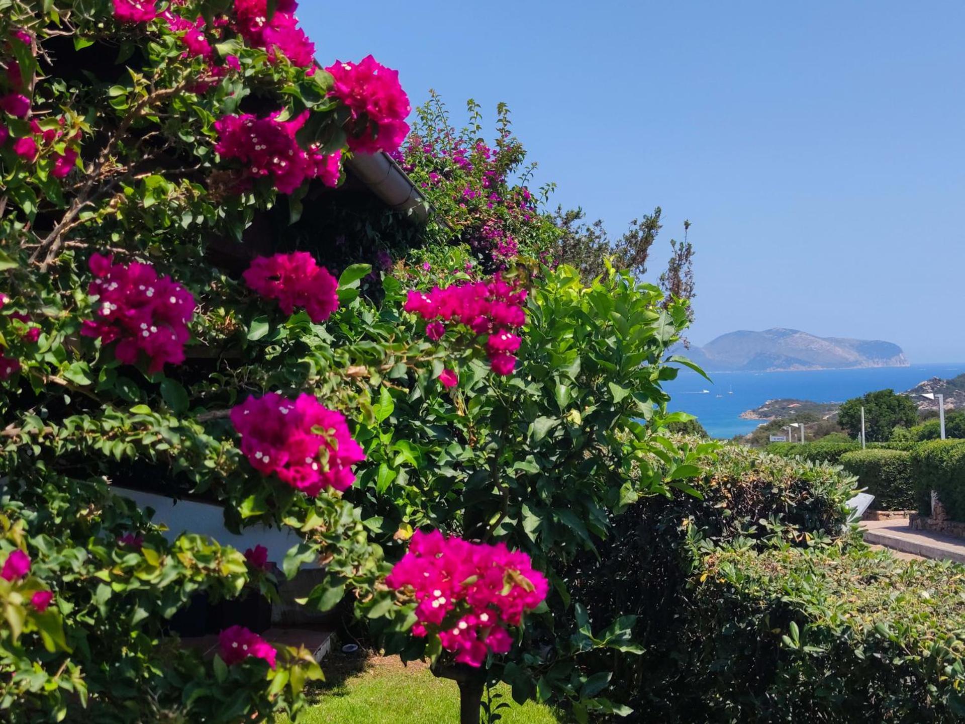 Capo Ceraso Family Resort Costa Corallina Rum bild